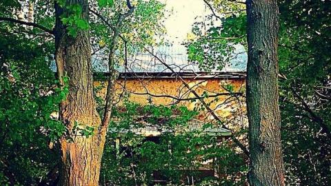 Port of no hope - Historic-Port-Hope-(Assorted)36.jpg