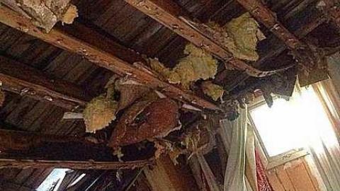 Welcome Inn - IMG_8505.jpg