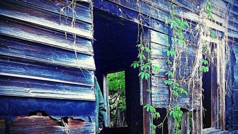 Bare bones - Historic-Port-Hope-(Assorted)28.jpg