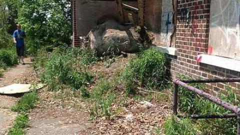 2016 - Camp-30-Bowmanville1375.jpg