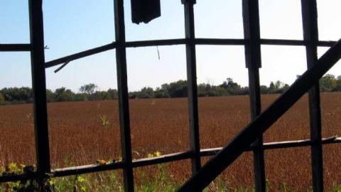 Heber Down Farm - IMG_3107.jpg