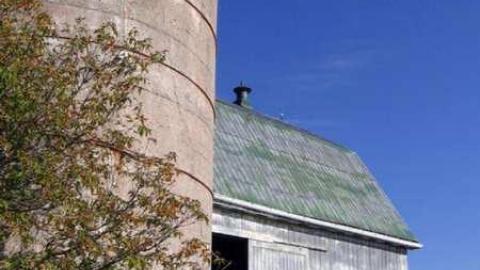 Photo from Heber Down Farm