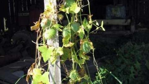 Photo from Heber Down Farm