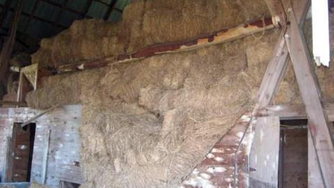 Heber Down Farm - IMG_3101.jpg