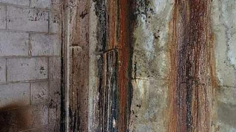 Photo from Cullen Fun '17