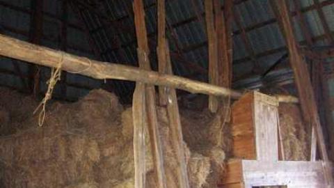 Heber Down Farm - IMG_3102.jpg