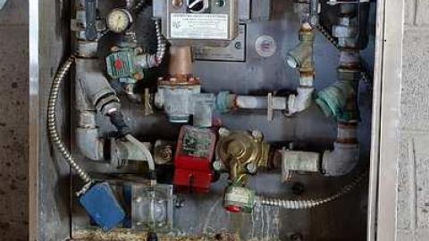 Cullen Fun '17 - Cullen-Gardens117.jpg