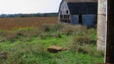 Heber Down Farm - IMG_3104.jpg