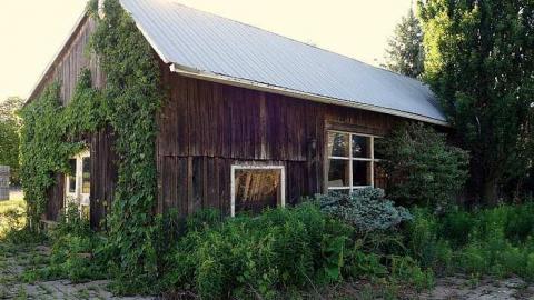 Cullen Fun '17 - Cullen-Gardens137.jpg