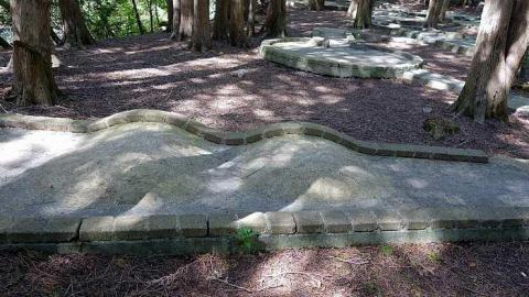 Cullen Fun '17 - Cullen-Gardens292.jpg