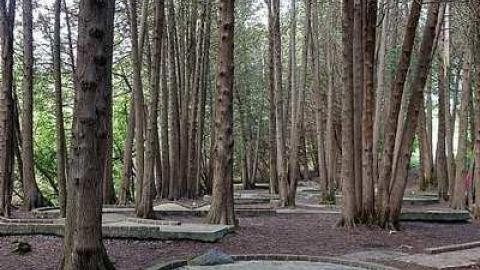 Cullen Fun '17 - Cullen-Gardens294.jpg