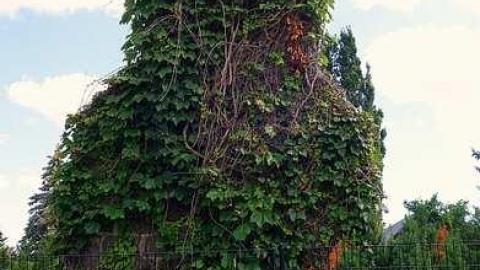 Cullen Fun '17 - Cullen-Gardens152.jpg