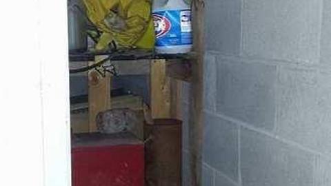 Wide open  - Dufferin-Concrete45.jpg