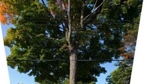 PMQs (Rigel Private) - CFB-Rockliffe7.jpg