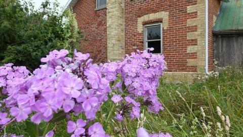 Photo from August 2017