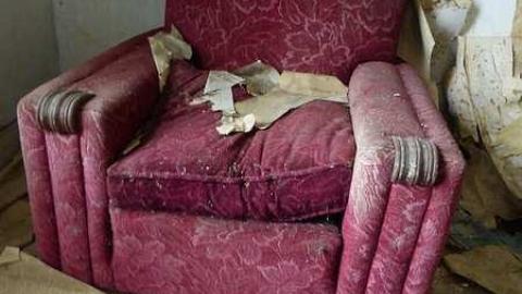 August 2017 - P1110815.jpg