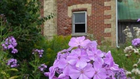 August 2017 - P1110843.jpg