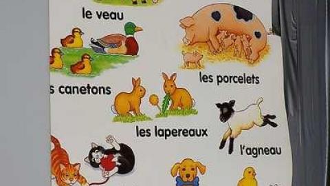 OAP Mini-Meet & The Sheep '17 - F.M.-Heard129.jpg