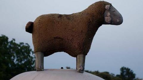 OAP Mini-Meet & The Sheep '17 - F.M.-Heard134.jpg