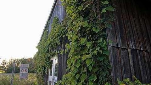 Cullen Gardens Main Building - Cullen-Gardens186.jpg