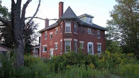 Covered In Dust - IMG_1943.jpg