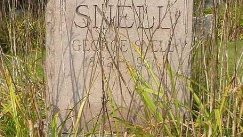 Photo from Snell and Rawn