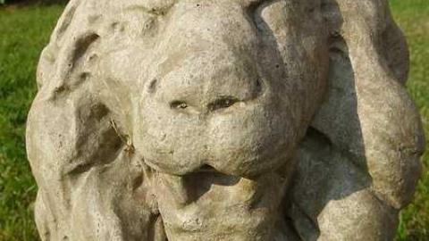 Snell and Rawn - Snells-Pioneer-Cemetery24.jpg