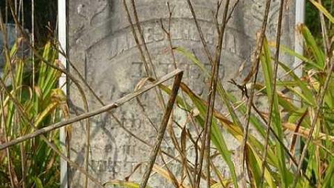 Snell and Rawn - Snells-Pioneer-Cemetery38.jpg