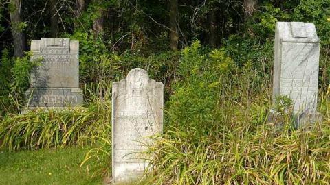 Snell and Rawn - Snells-Pioneer-Cemetery29.jpg