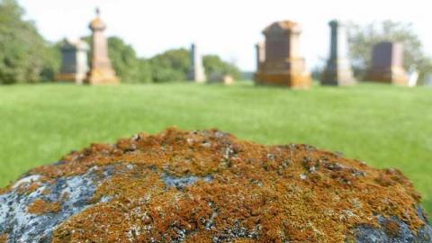 Rest In Pleasant - PleasantView-Pioneer-Cemetery27.jpg