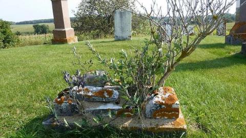 Photo from Rest In Pleasant