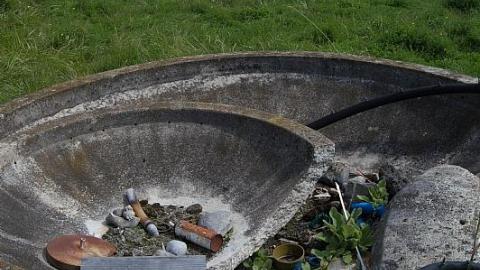 Photo from Beep Beep Beep