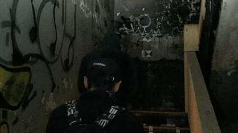 Kodak 9 - s-IMG_8368.jpg