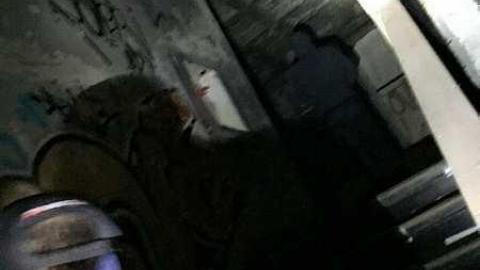 Kodak 9 - k-IMG_8370.jpg