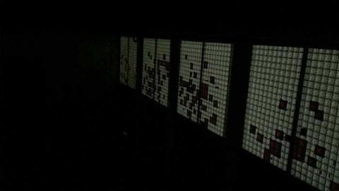 Kodak 9 - f-IMG_8372.jpg