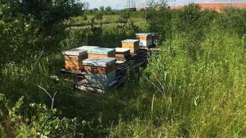 Go Kart Track  - Hole-In-One52.jpg