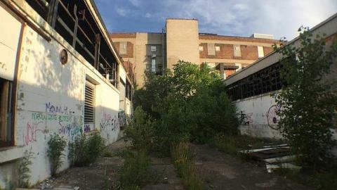 Candy Factory - McCormicks-Biscuit-Factory770.jpg