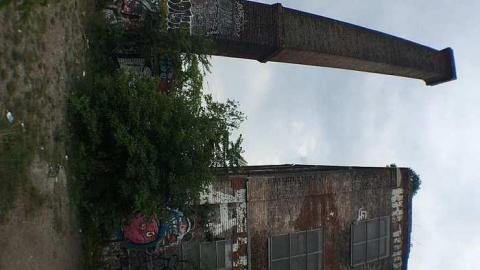 Linseed Oil - Linseed-Factory600.jpg