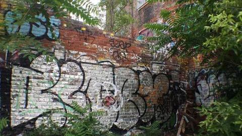 Linseed Oil - Linseed-Factory596.jpg