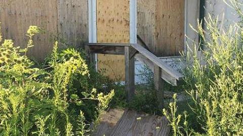 Little White House  - i-IMG_0643.jpg