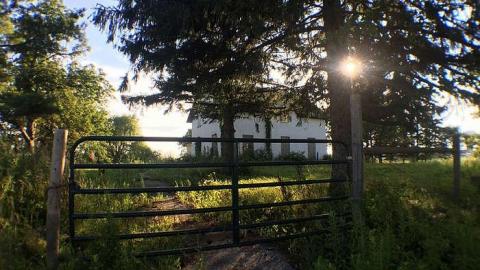 Little White House  - t-IMG_0658.jpg