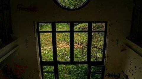 Teen Demolition  - Pefferlaw-Shining-House71.jpg