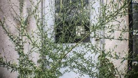 Photo from Dealership