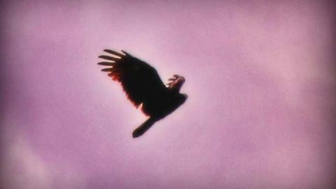 Moldy L'Amour - Who-Owns-These-Memories92.jpg