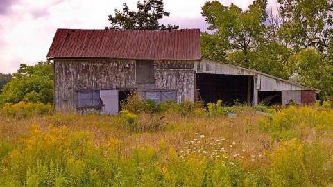 Moldy L'Amour - Who-Owns-These-Memories93.jpg