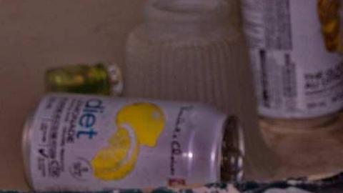 Moldy L'Amour - Who-Owns-These-Memories101.jpg