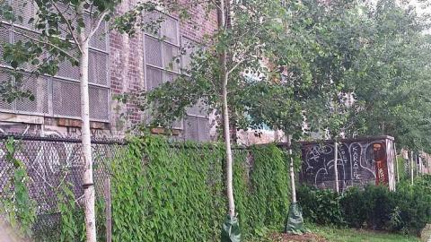 In the area why not - Linseed-Factory357.jpg