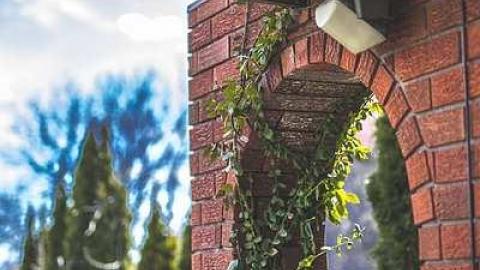 Before it was Gone - Someones-been-living-here16.jpg