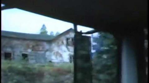 The Blue 1975 - THE-BLUE-Lions-for-Breakfast8.jpg