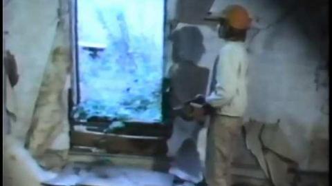 The Blue 1975 - THE-BLUE-Lions-for-Breakfast10.jpg